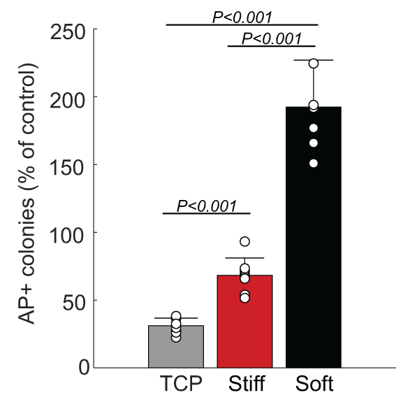 Published graph comparing normalized AP-positive colony counts after culture on tissue-culture plastic, stiff hydrogels and soft hydrogels